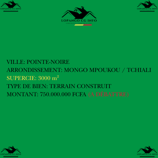 1002 (POINTE-NOIRE)